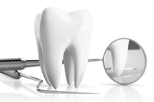 Prosthodontic — 3D Representation of a Tooth in Sarasota, FL Prosthodontic — 3D Representation of a Tooth in Sarasota, FL
