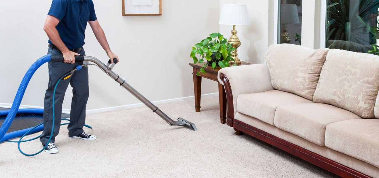 CARPET CLEANING