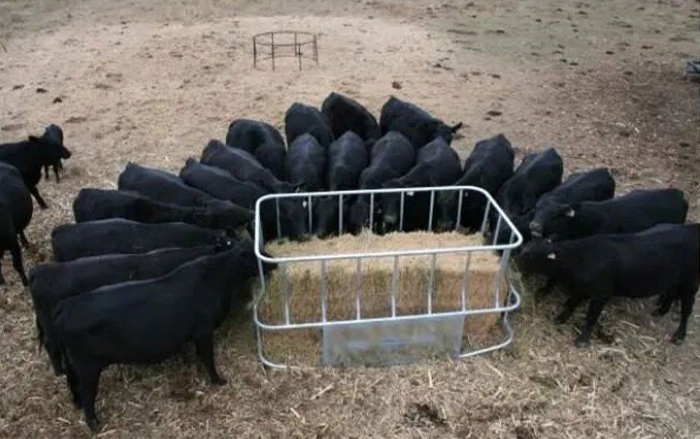 Feeders