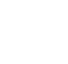 Auditing and assurance services