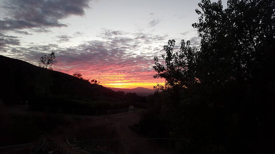 a fantastic sunset on the farm