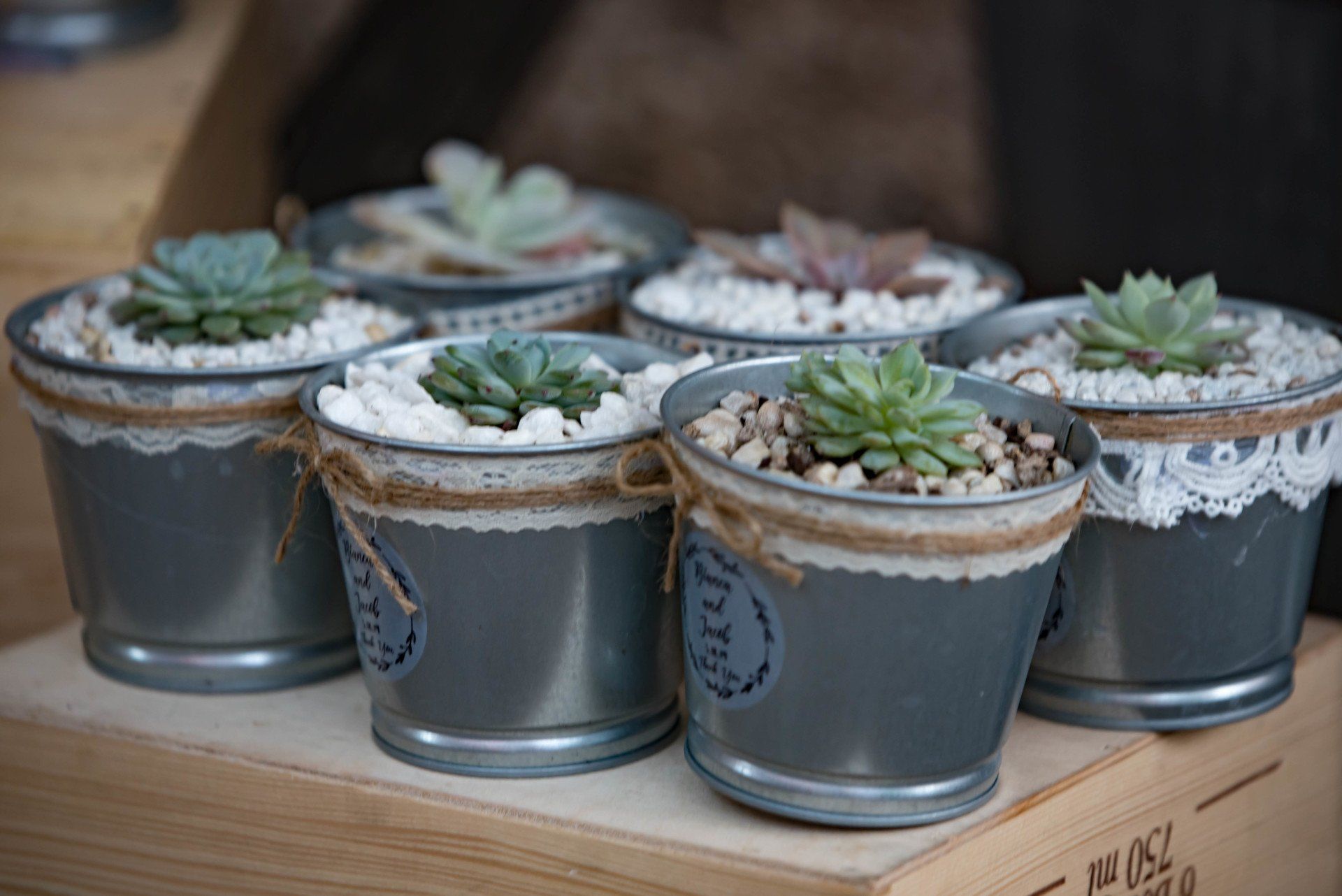 A group of potted plants sitting on top of a wooden box.