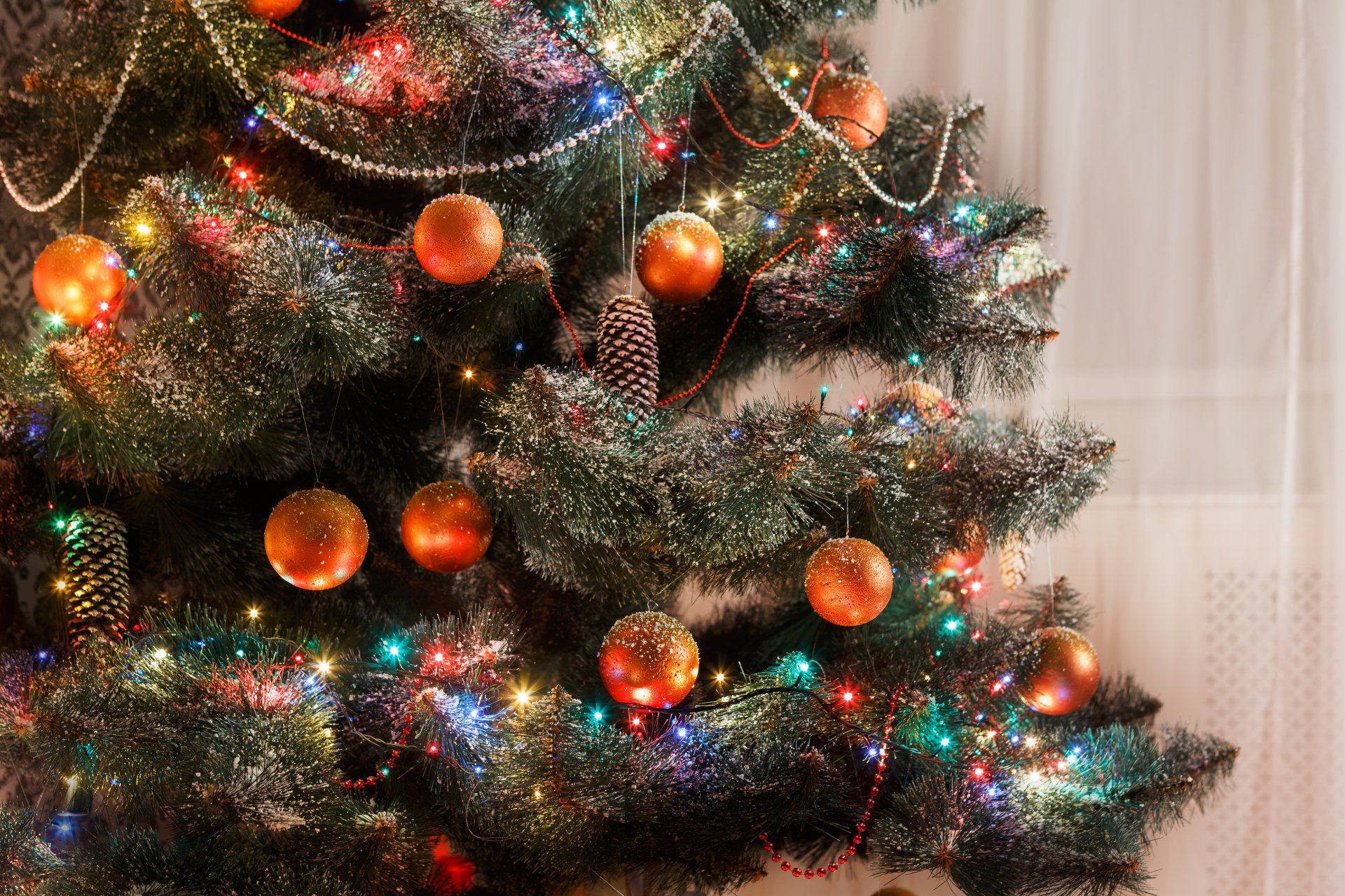 A Greenspot Farms Christmas Tree cut down from the feild of trees and fully decotated with ornimants and lights