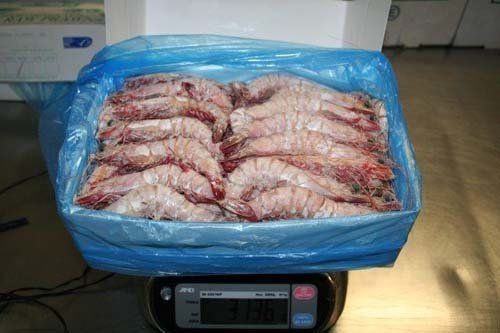 Prawns