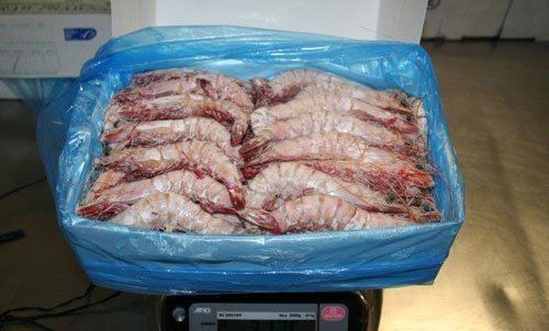 Prawns