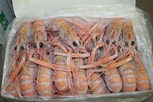 Prawns