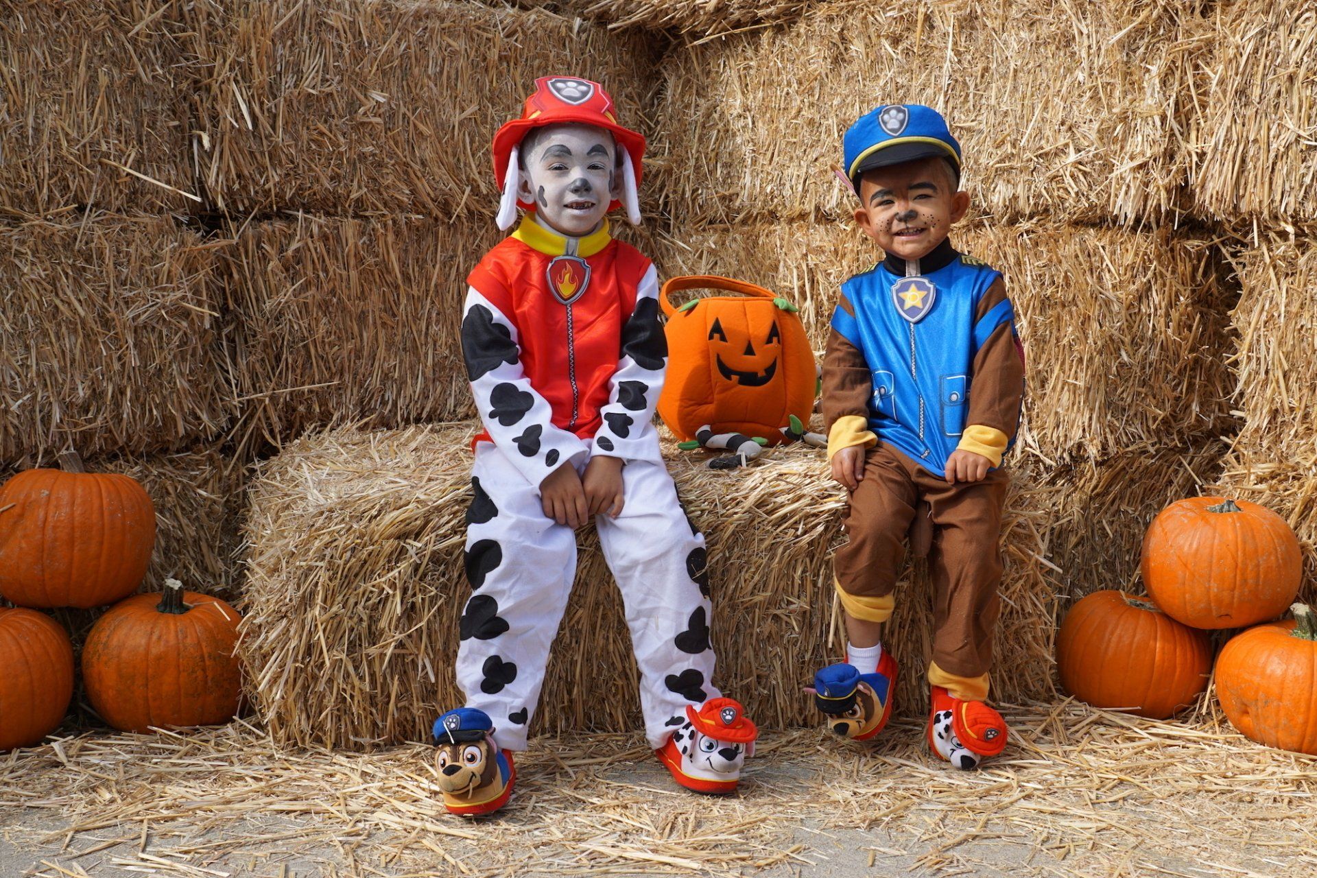 Two children in paw patrol costumes are sitting on bales of hay.