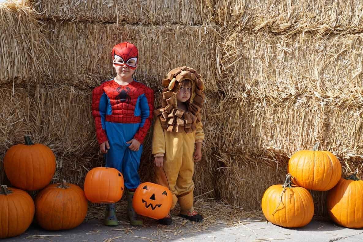 Two children in halloween costumes are standing next to pumpkins in front of a hay bale.