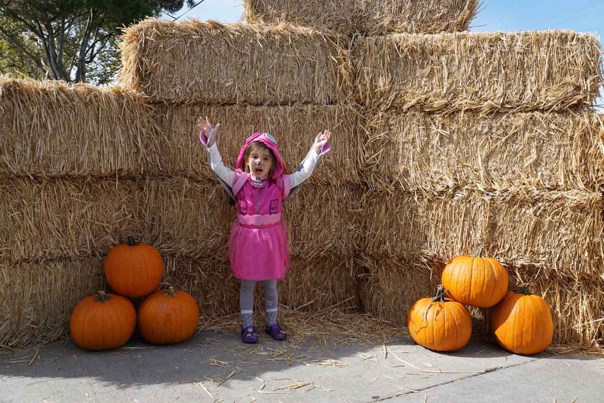 A little girl in a pink dress is standing next to hay bales and pumpkins.