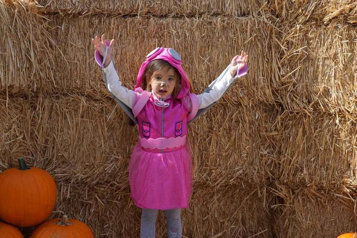 A little girl in a pink dress is standing in front of a hay bale.