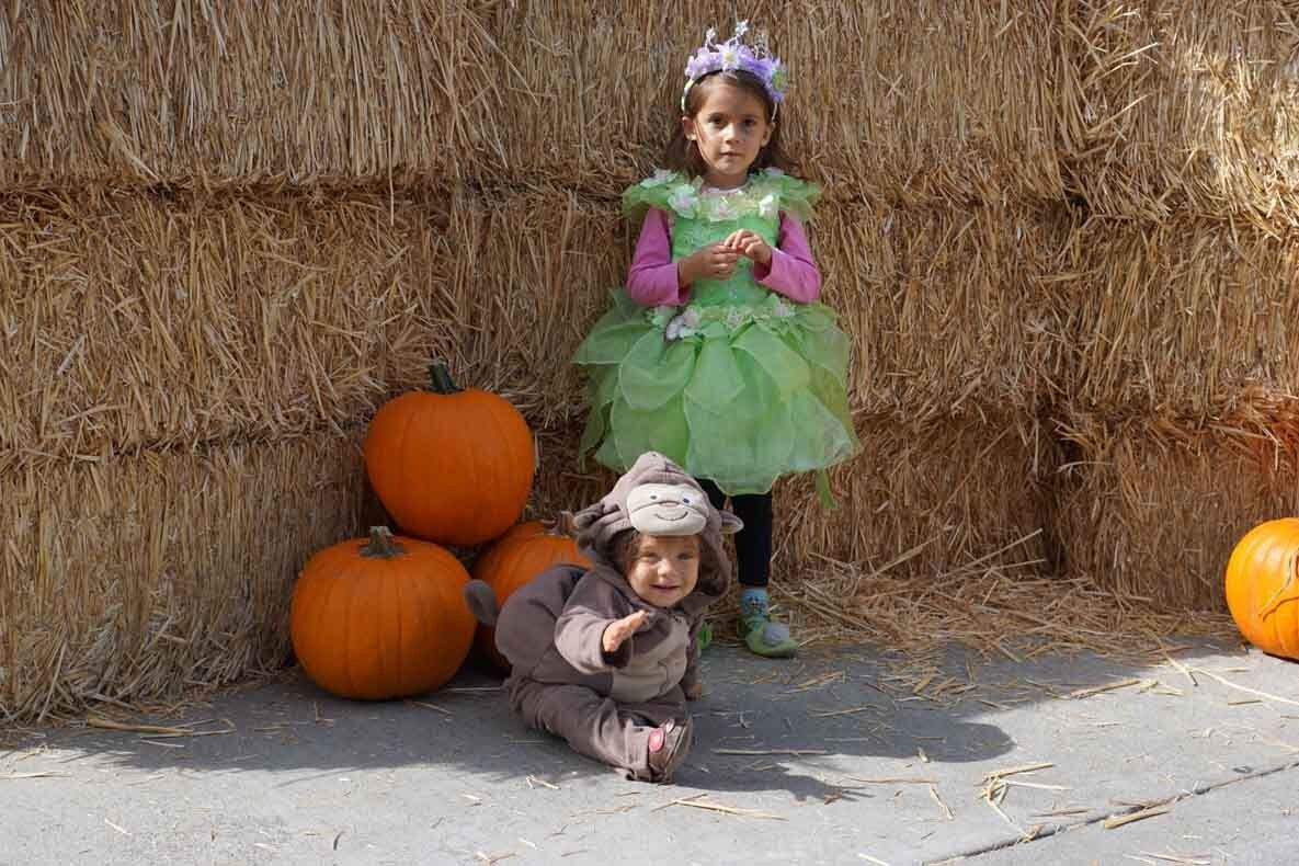 Two little girls are posing for a picture in front of hay bales and pumpkins.