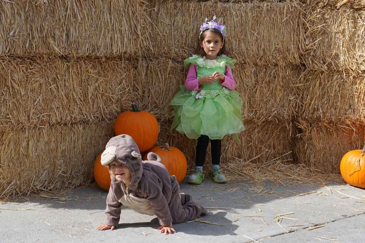 A little girl in a green dress is standing next to a little boy in a squirrel costume.