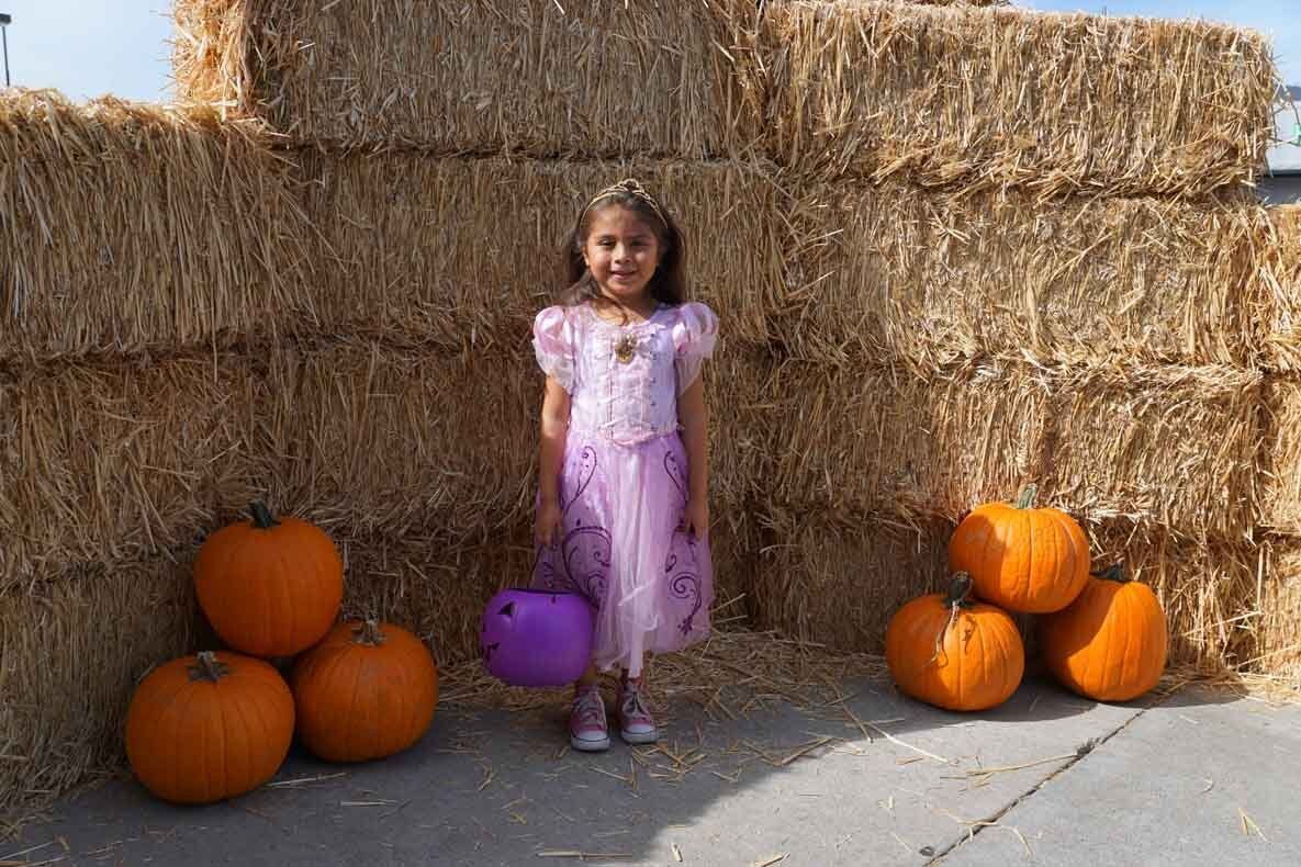 A little girl in a purple dress is standing in front of hay bales and pumpkins.