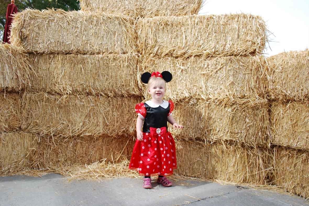 A little girl in a minnie mouse costume is standing in front of a pile of hay bales.