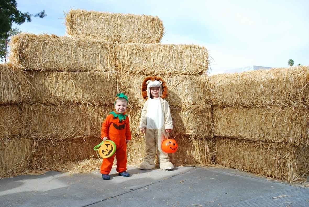 Two children in halloween costumes are standing in front of hay bales.