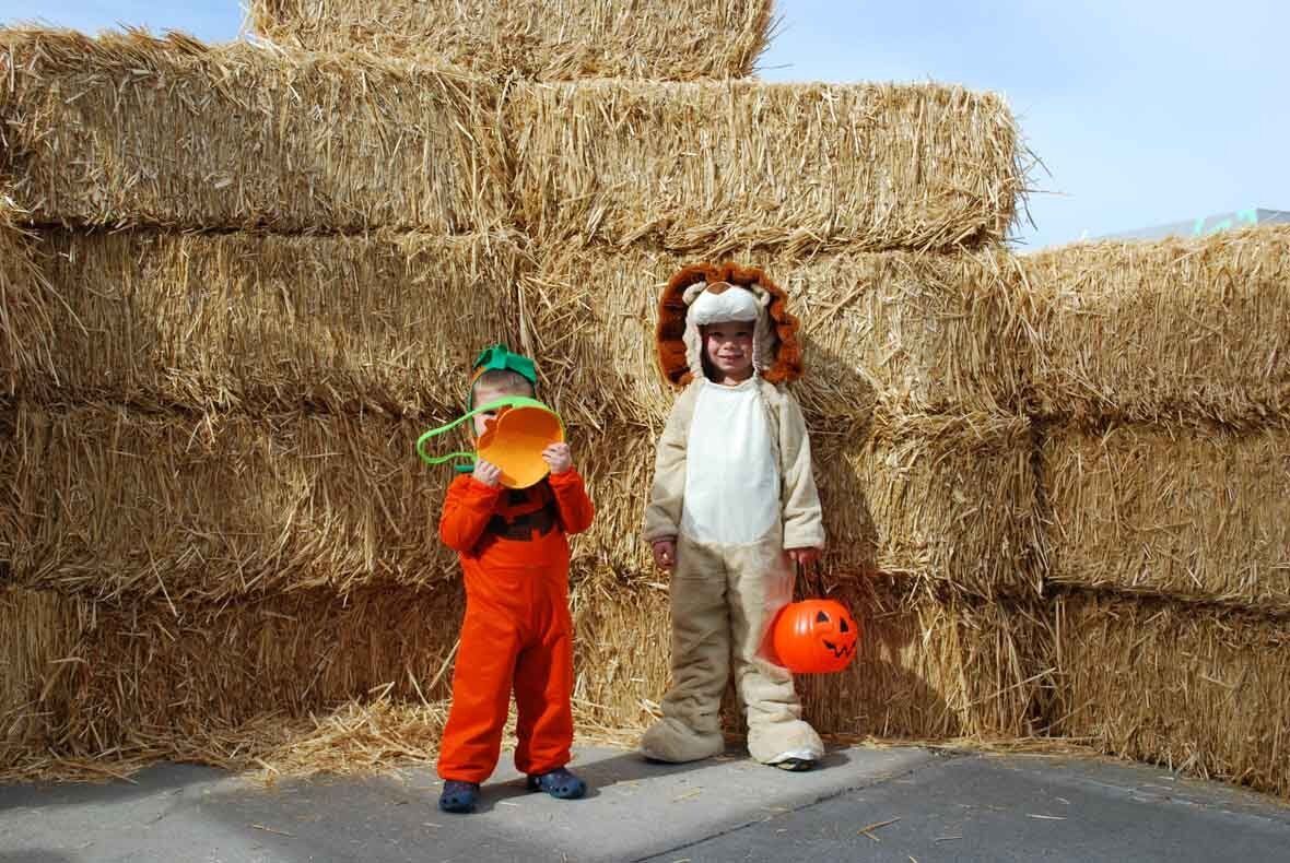 Two children in halloween costumes are standing in front of hay bales.