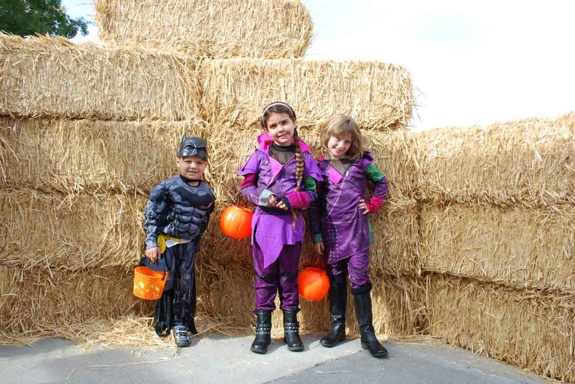 Three children in halloween costumes are standing in front of hay bales.