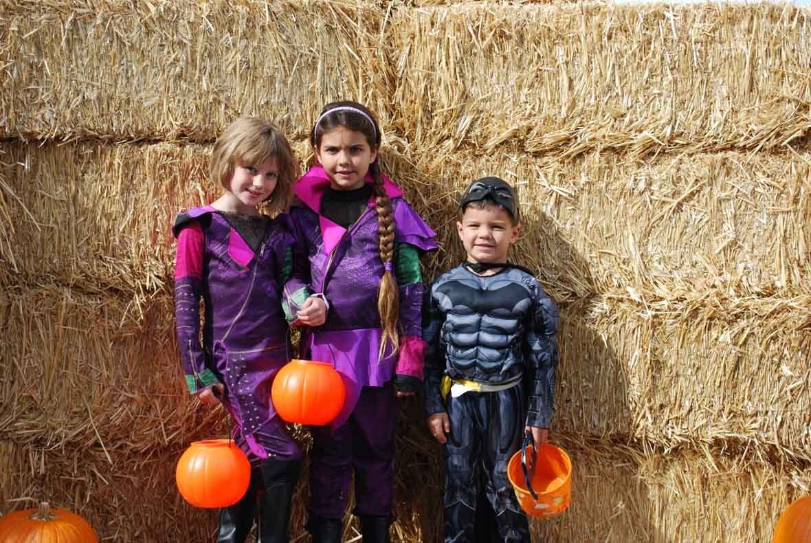 Three children in halloween costumes are standing in front of a hay bale.