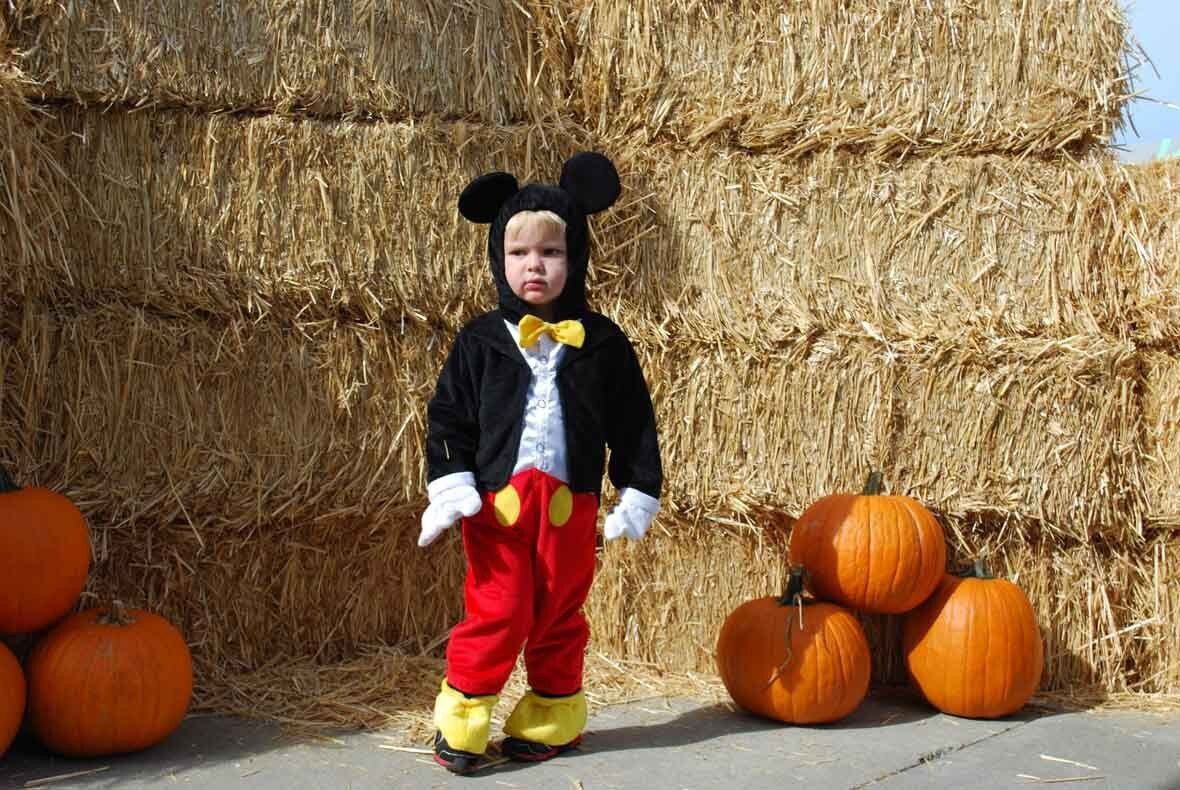 A little boy in a mickey mouse costume is standing in front of pumpkins.