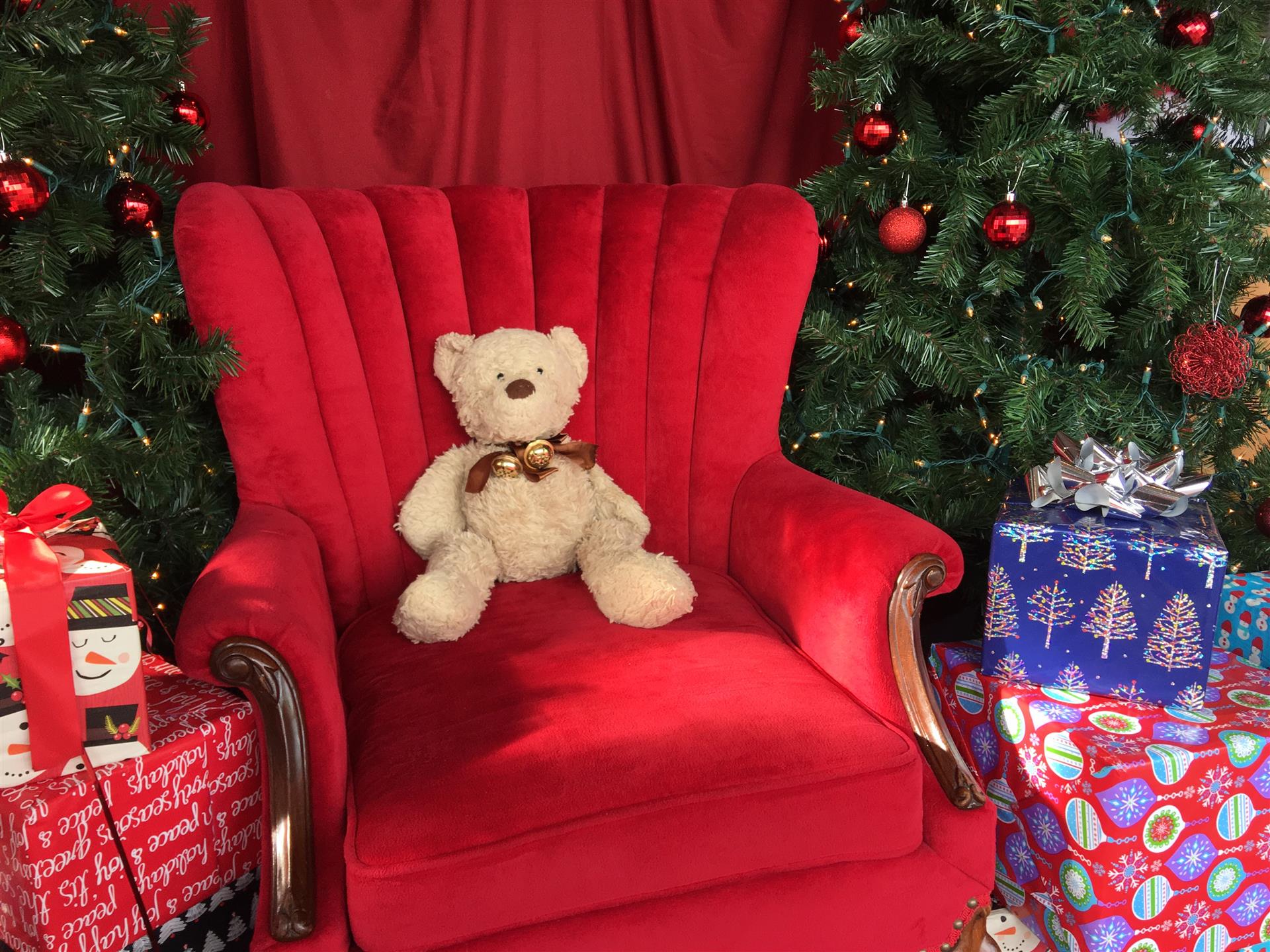 A teddy bear is sitting in a red chair in front of a christmas tree.