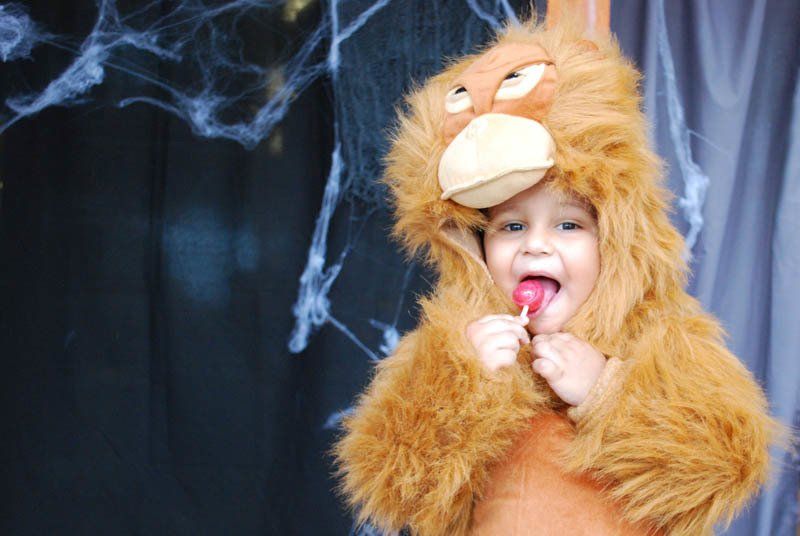 A little boy in a lion costume is eating a lollipop.