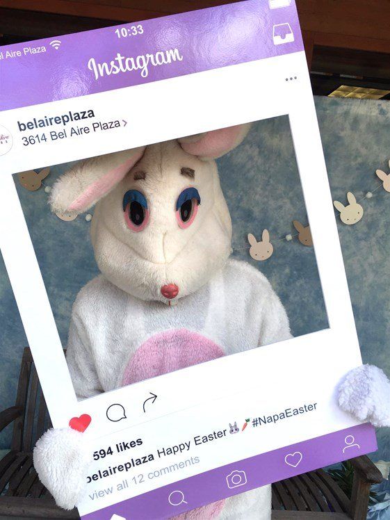 A picture of a bunny in an instagram frame