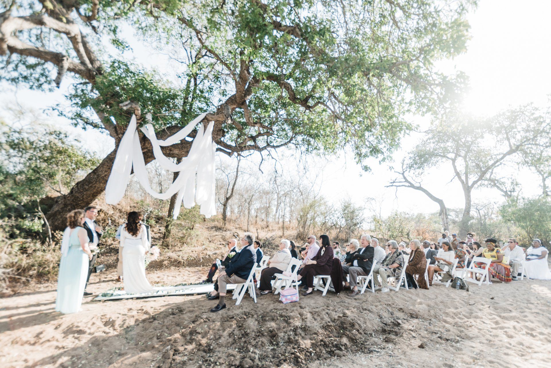 Outdoor wedding ceremony under trees with white arch and seated guests in bright sunlight