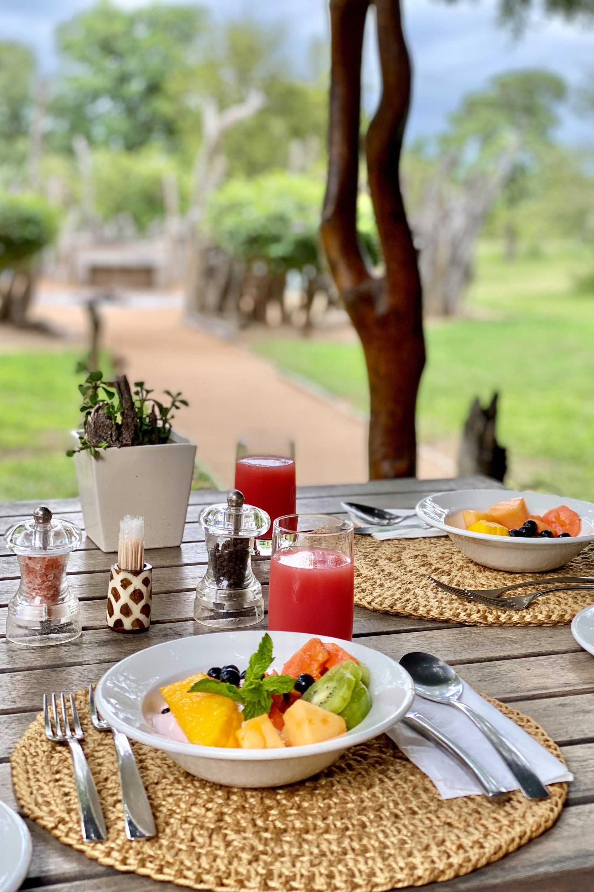Outdoor breakfast table with fruit bowls, red drinks, and woven placemats in a garden setting