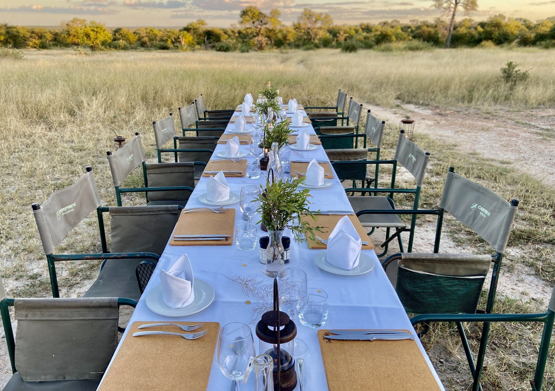 Long outdoor dining table set in a field, with white linens, tan placemats, and floral centerpieces.