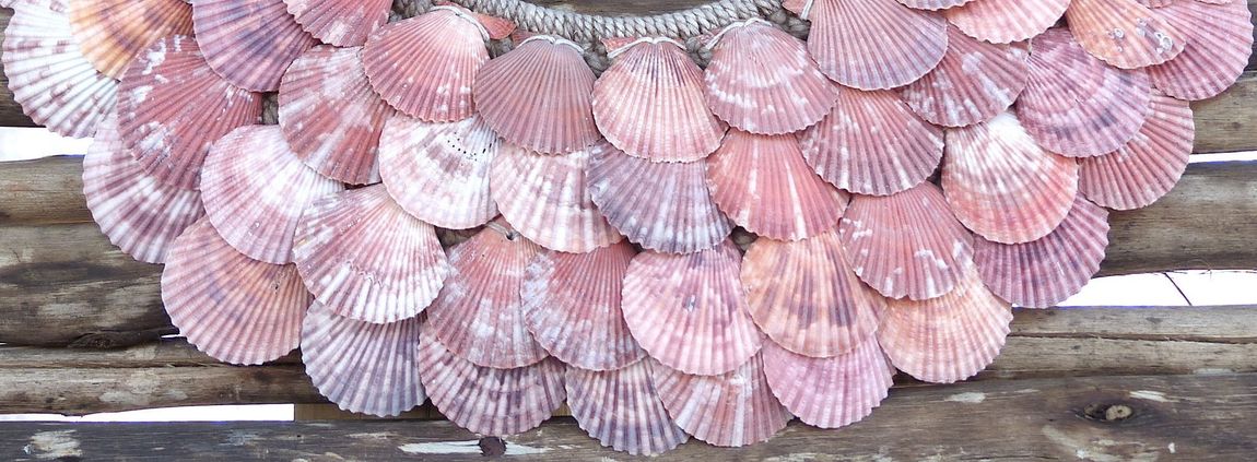 Pink seashells arranged on weathered wooden planks in a decorative pattern