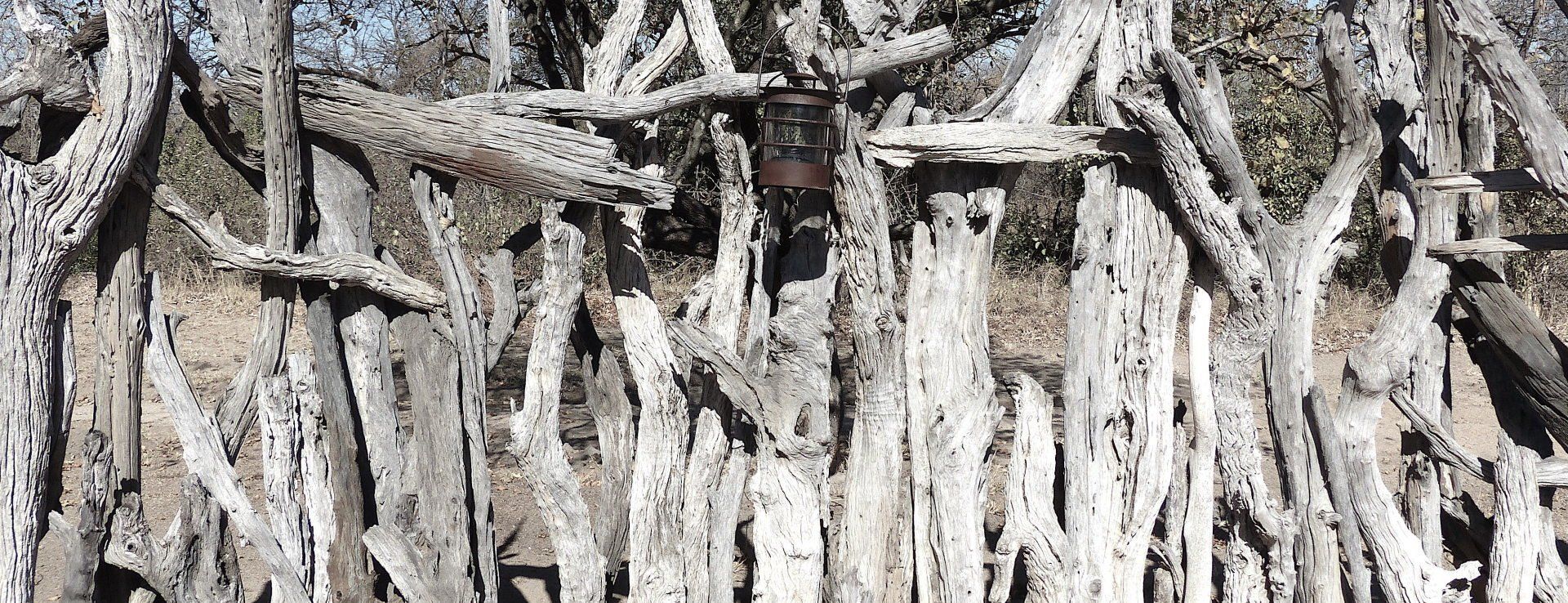 Close-up of tangled white driftwood sticks and branches in a dense pile