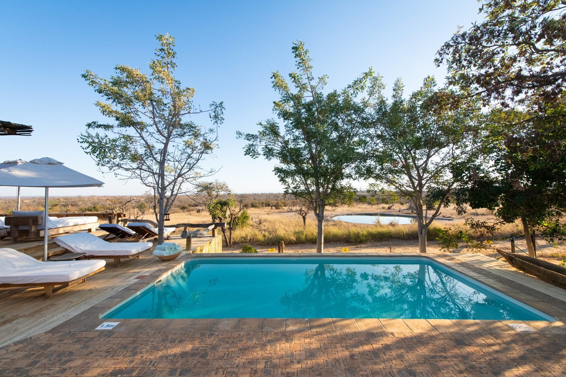 Backyard pool with lounge chairs, umbrella, and trees under a clear sky