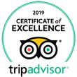 Tripadvisor 2019 Certificate of Excellence badge with owl logo in teal and black