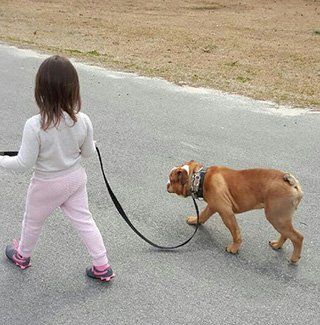 Canine training in Raeford, NC - Kranenburg Canine Training Center
