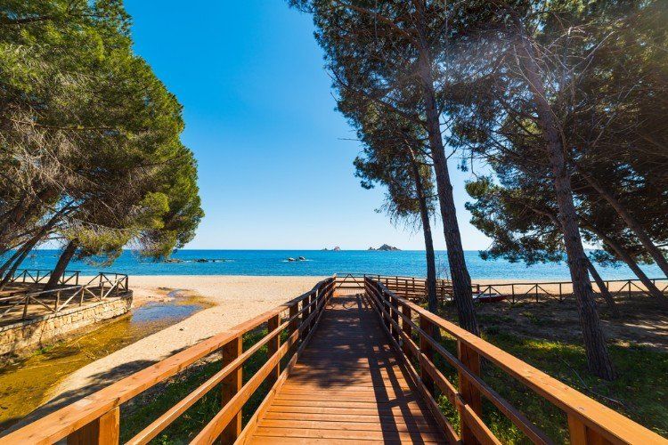 passerella in legno in riva al mare