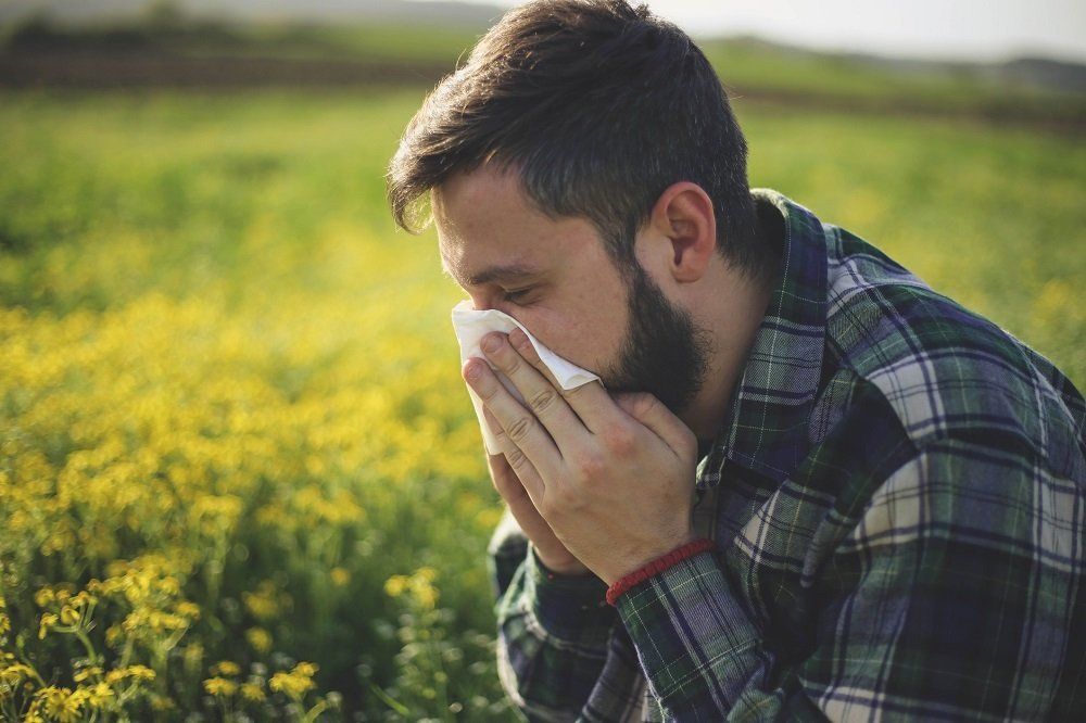 Man sneezing into a tissue, standing in a field of yellow flowers.