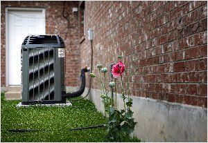 An air conditioning unit next to a brick building with a pink flower blooming nearby.