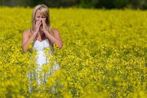 Woman sneezing in a field of yellow flowers, eyes closed, hands covering face.