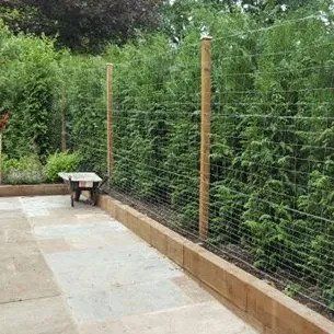 Deer Fencing