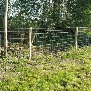 Stock Fencing