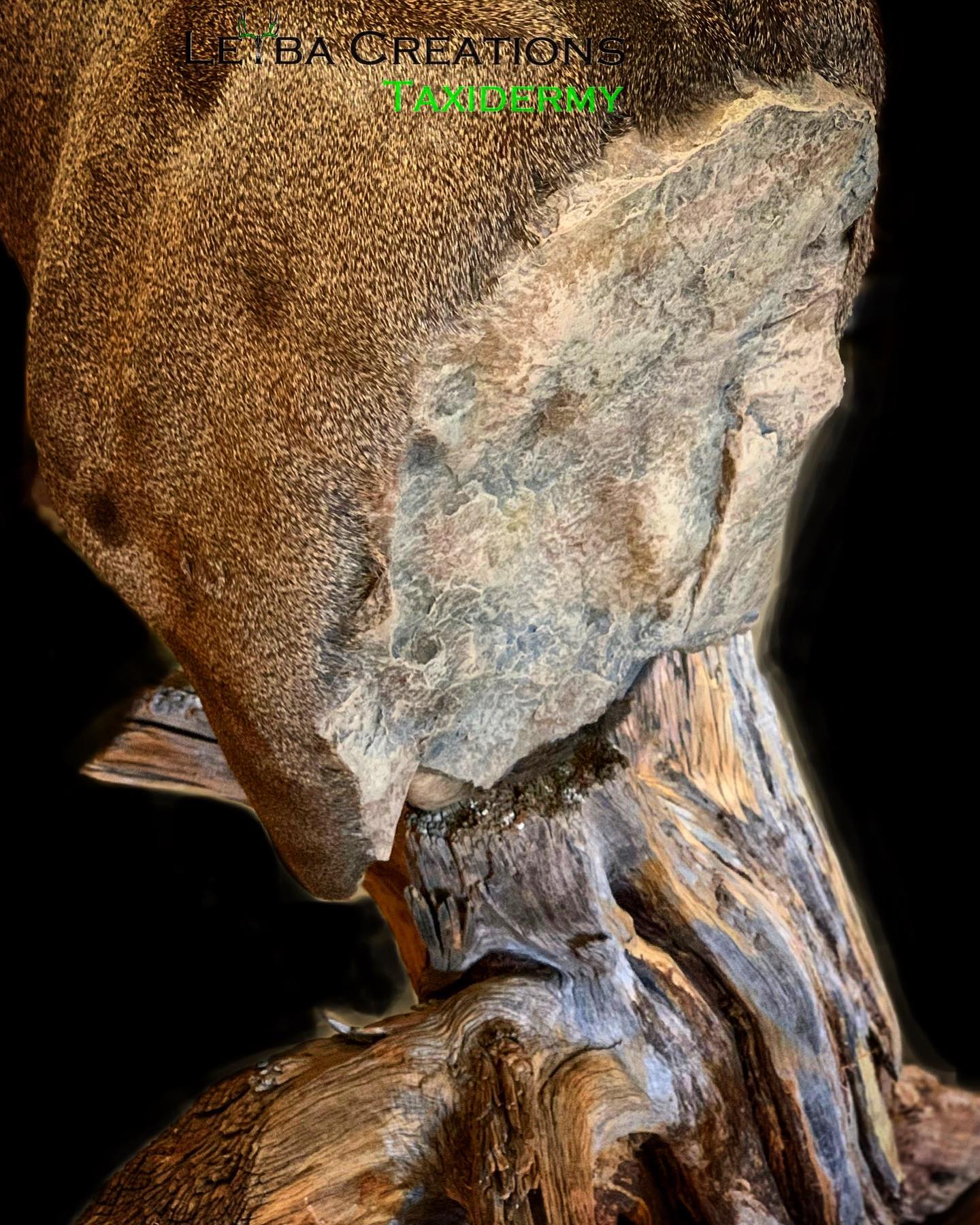 A close up of a piece of wood on a black background.