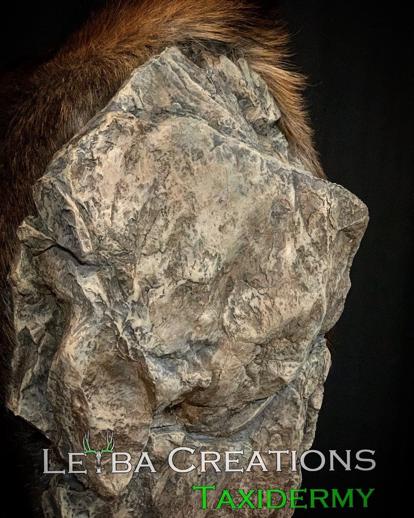 A close up of a person 's face with a rock covering it.