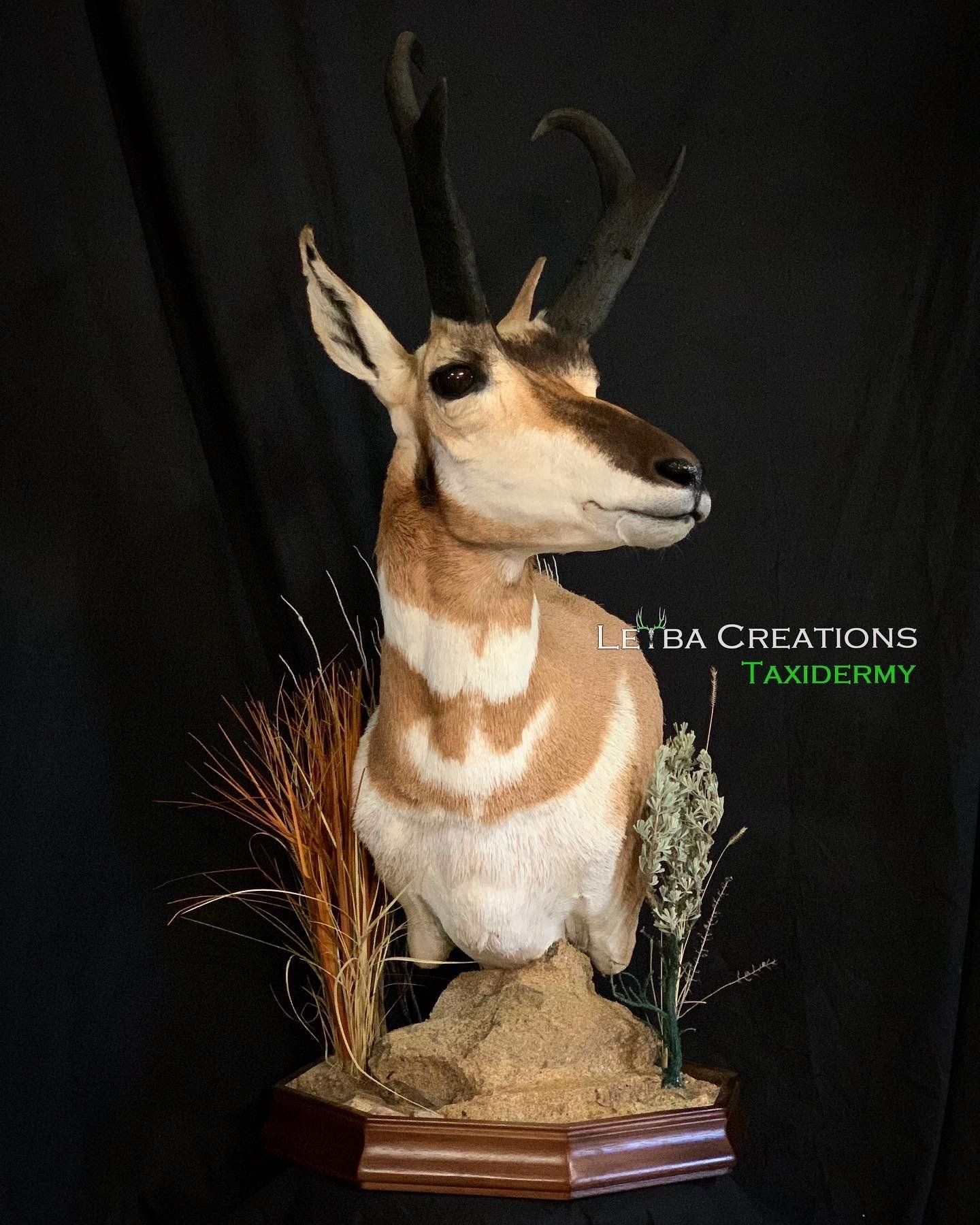 A stuffed antelope is sitting on top of a wooden base.