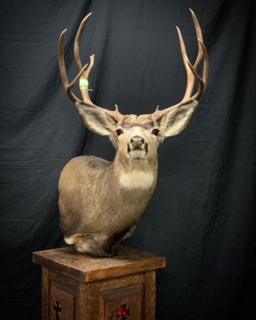 A stuffed deer is sitting on a wooden pedestal