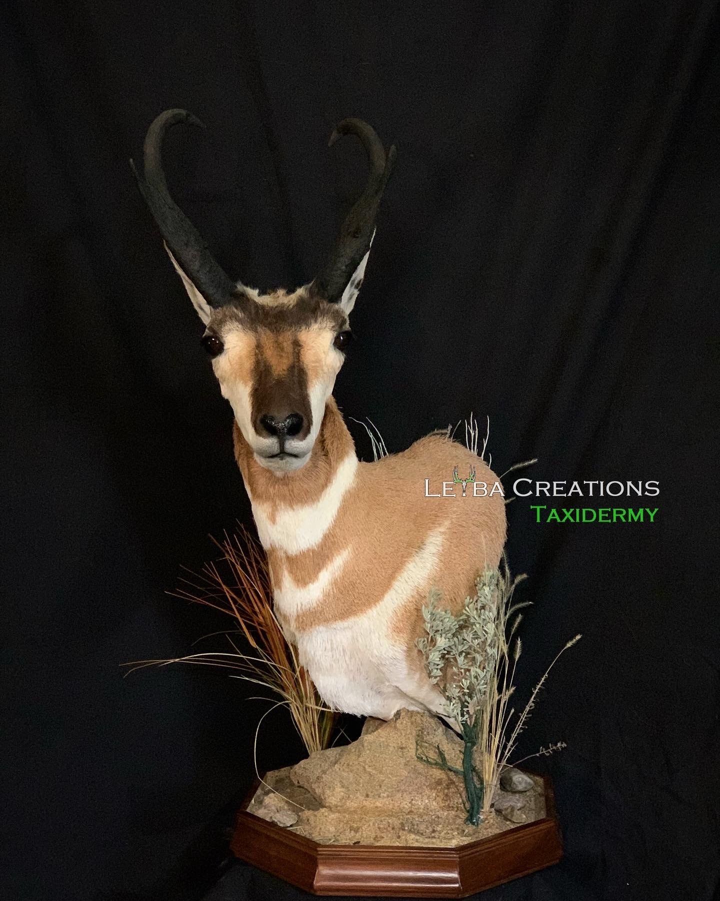 A stuffed antelope is sitting on top of a wooden base.
