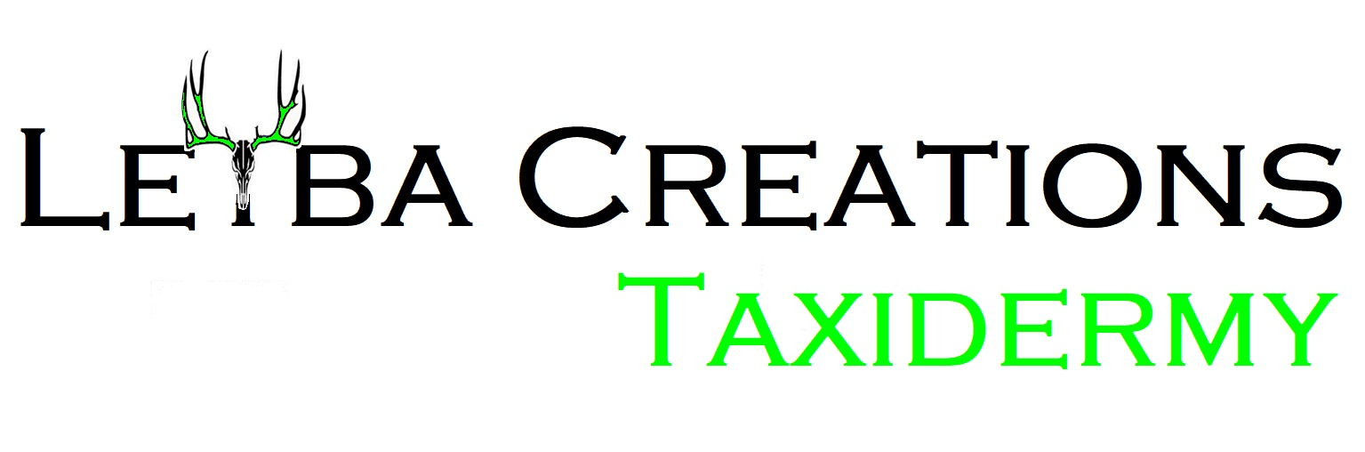 A logo for leiba creations taxidermy with a deer on it