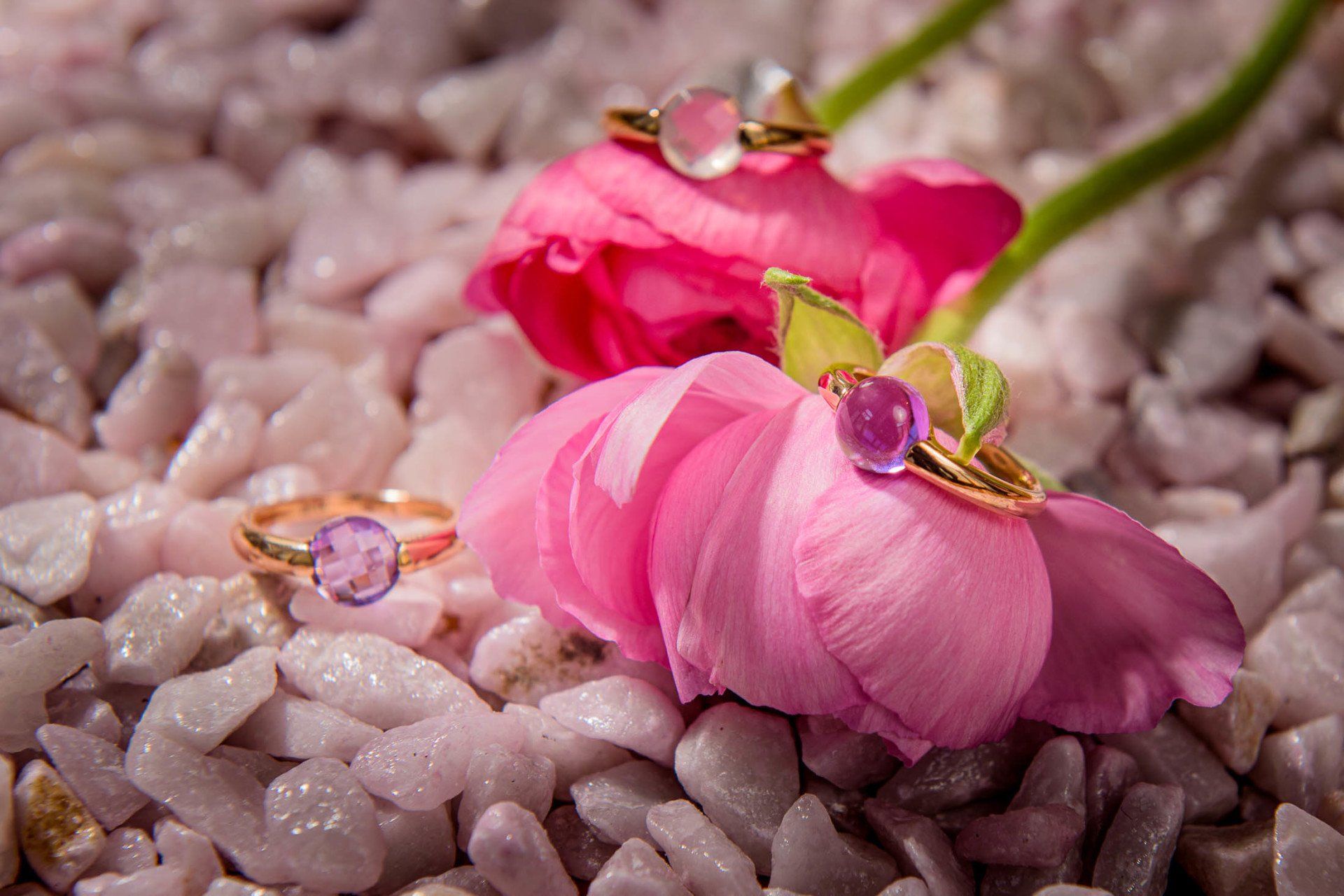 Drie ringen liggen bovenop een stapel stenen naast een roze bloem.