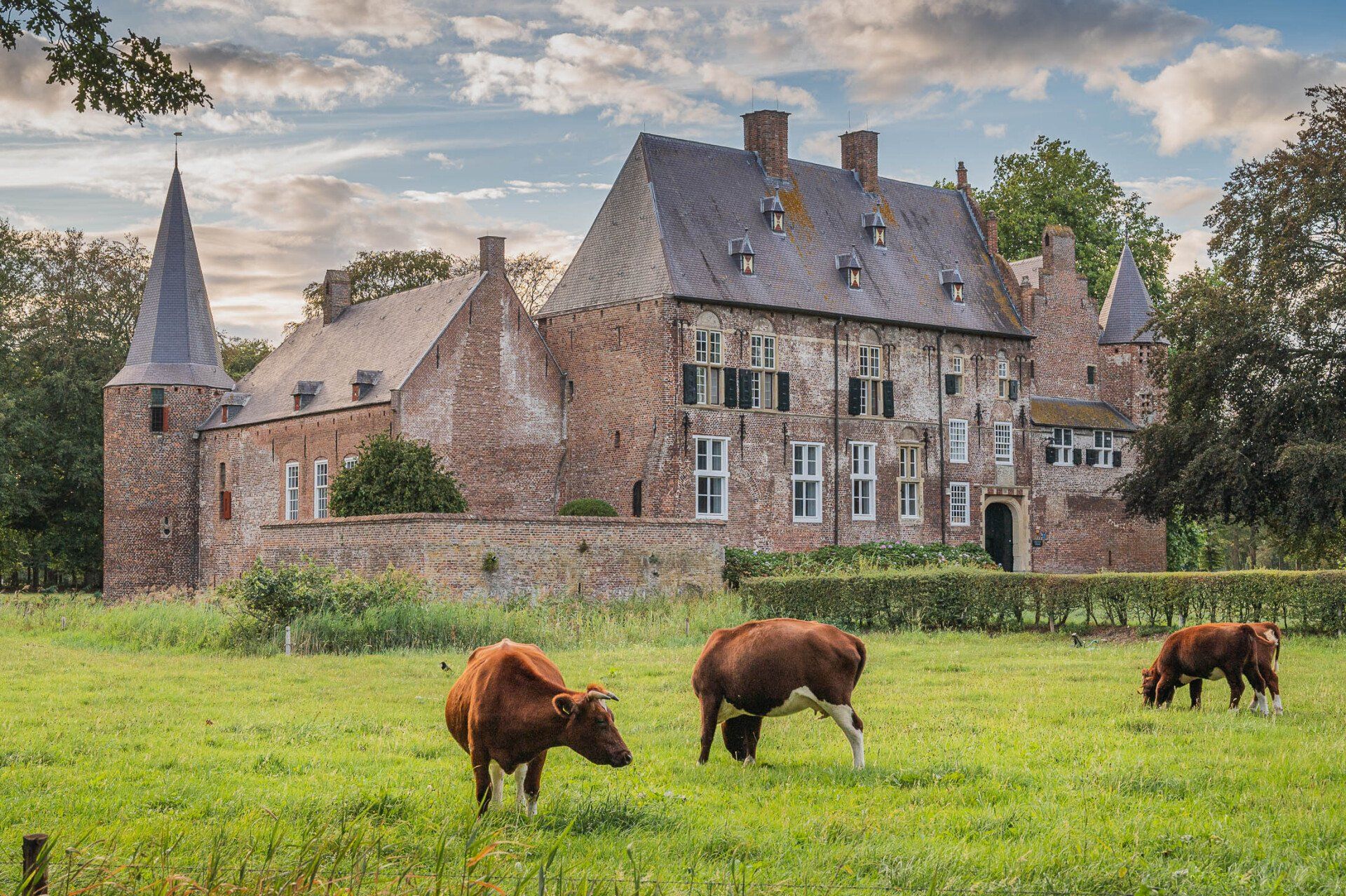 Een groep koeien graast in een veld voor een groot bakstenen gebouw.
