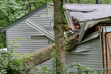 Fallen Tree on Home - Storm Damage Repairs in Virginia Beach, VA