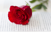 Stampa e affissione
